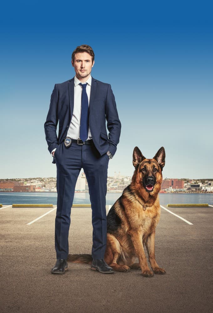 Hudson and Rex S08E03 MULTi 480p x264-mSD