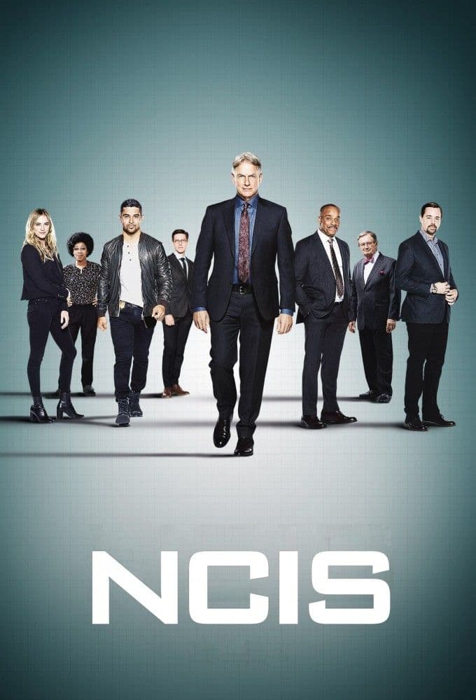 NCIS S23E17 MULTi 480p x264-mSD