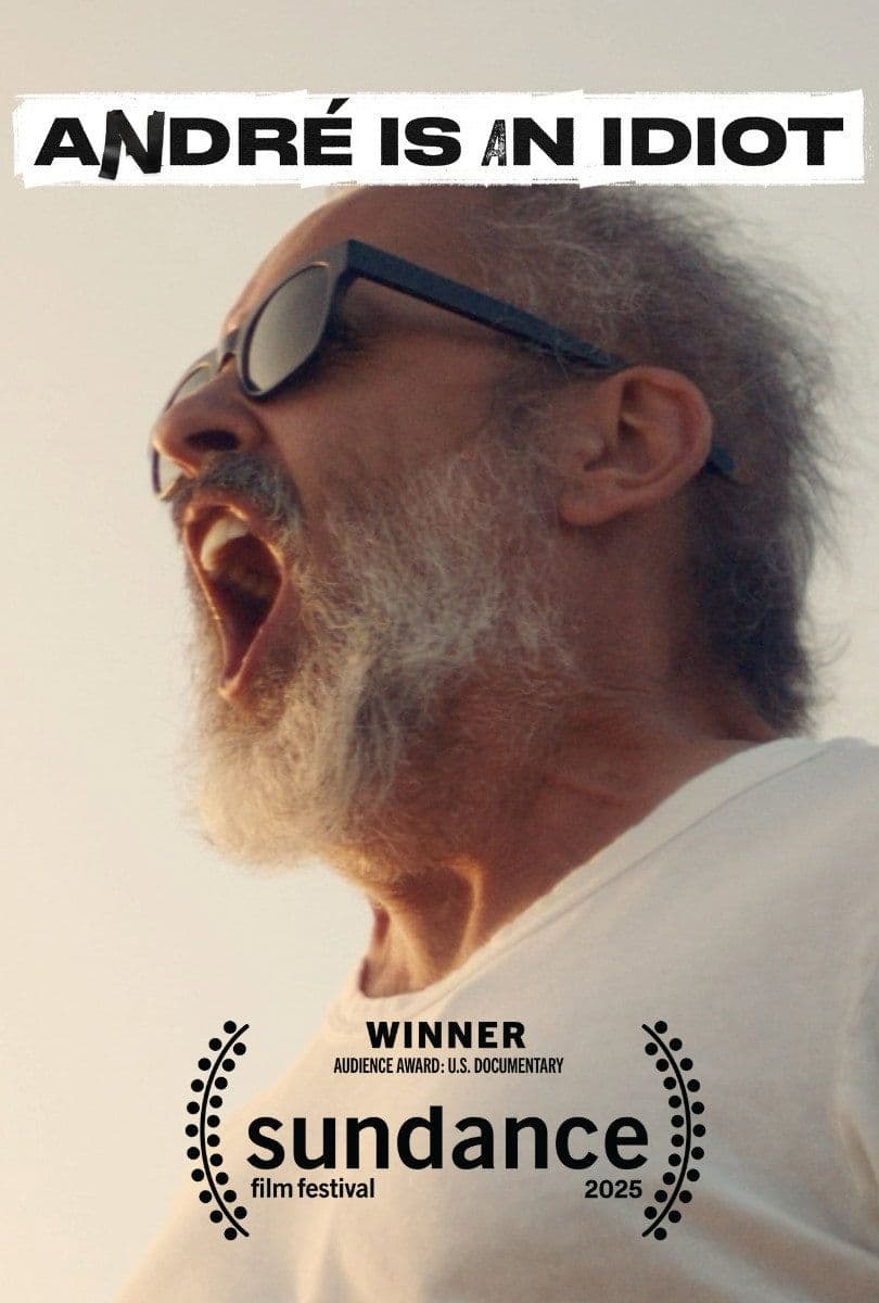 Andre Is an Idiot 2025 NORDiC 1080p WEB DL H 264 DDP2 0-ADDICTION