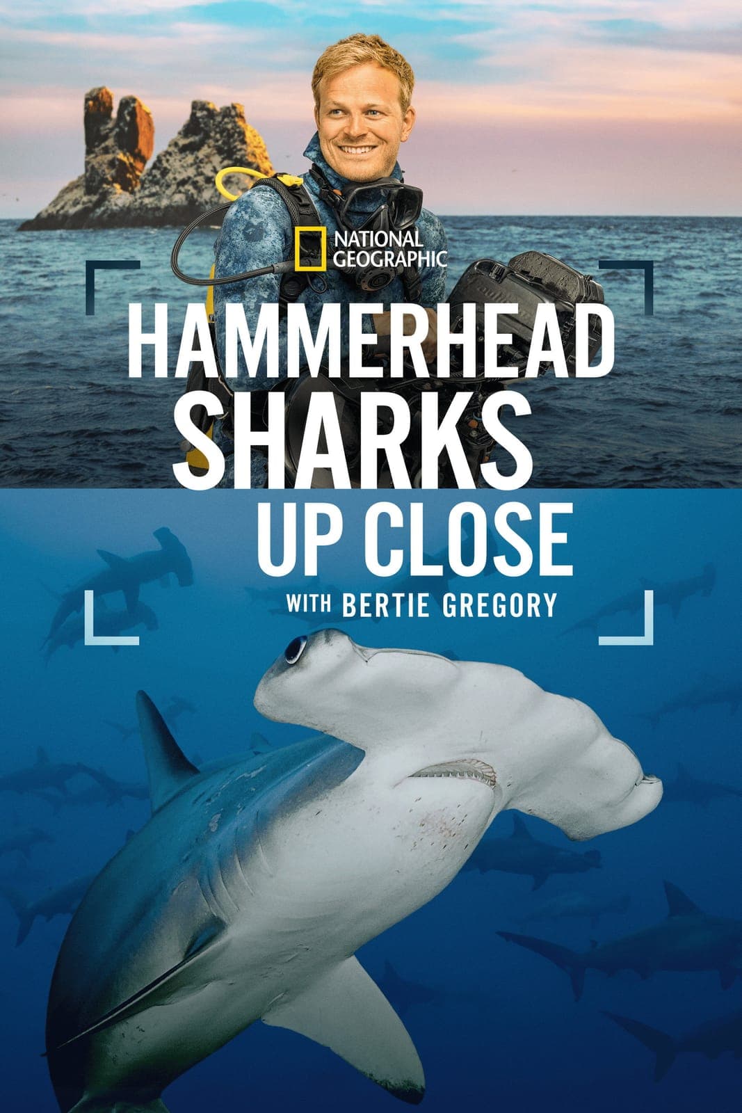 hammerhead sharks up close with bertie gregory 2026 720p web h264-jff