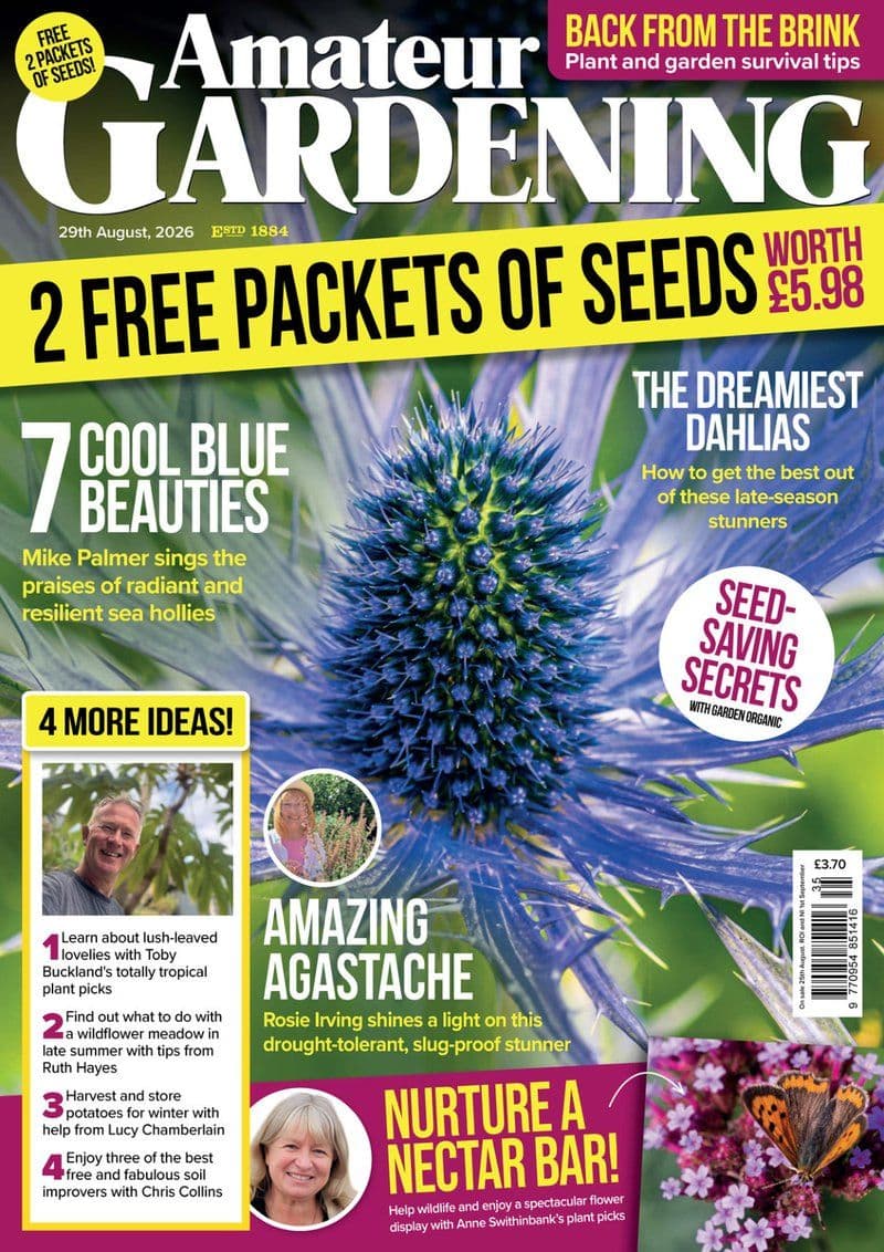 Amateur.Gardening.August.29.2026.RETAIL.MAGAZINE.eBook-21A1