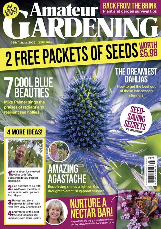 Amateur_Gardening_-_29_August_2026