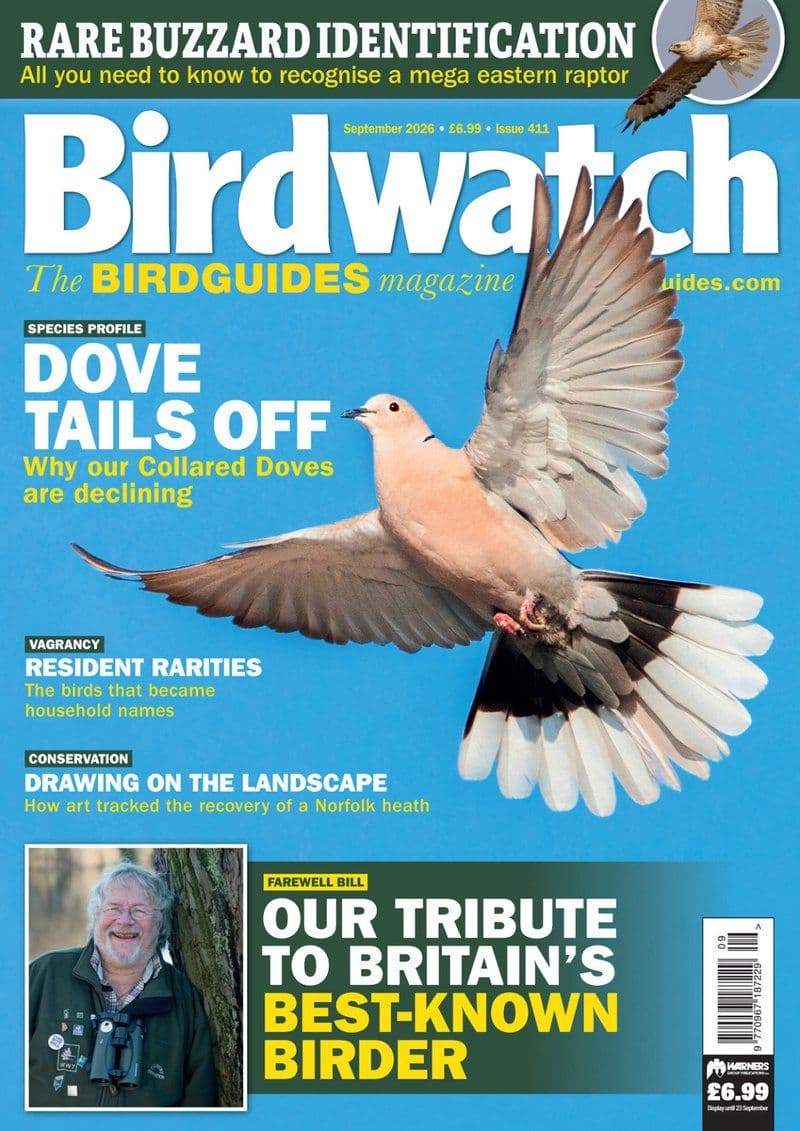 Birdwatch.September.2026.RETAIL.MAGAZINE.eBook-21A1
