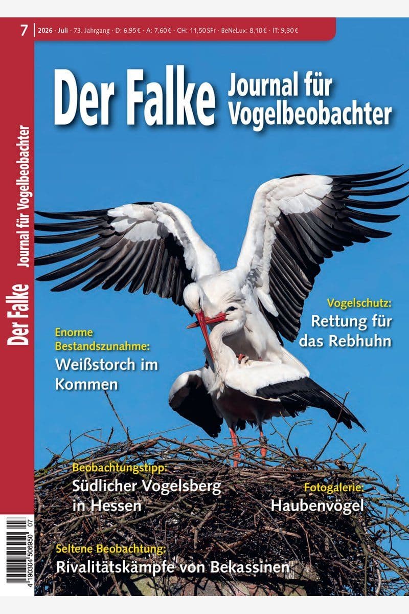 Der.Falke.-.Journal.fuer.Vogelbeobachter.No.07.2026.GERMAN.HYBRID.MAGAZINE.eBook-LORENZ