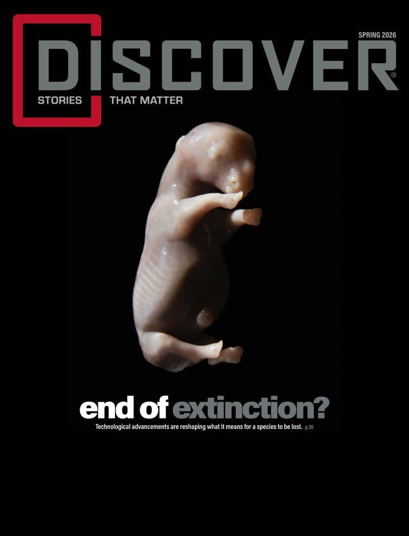 Discover.Spring.2026.RETAIL.MAGAZINE.eBook-21A1