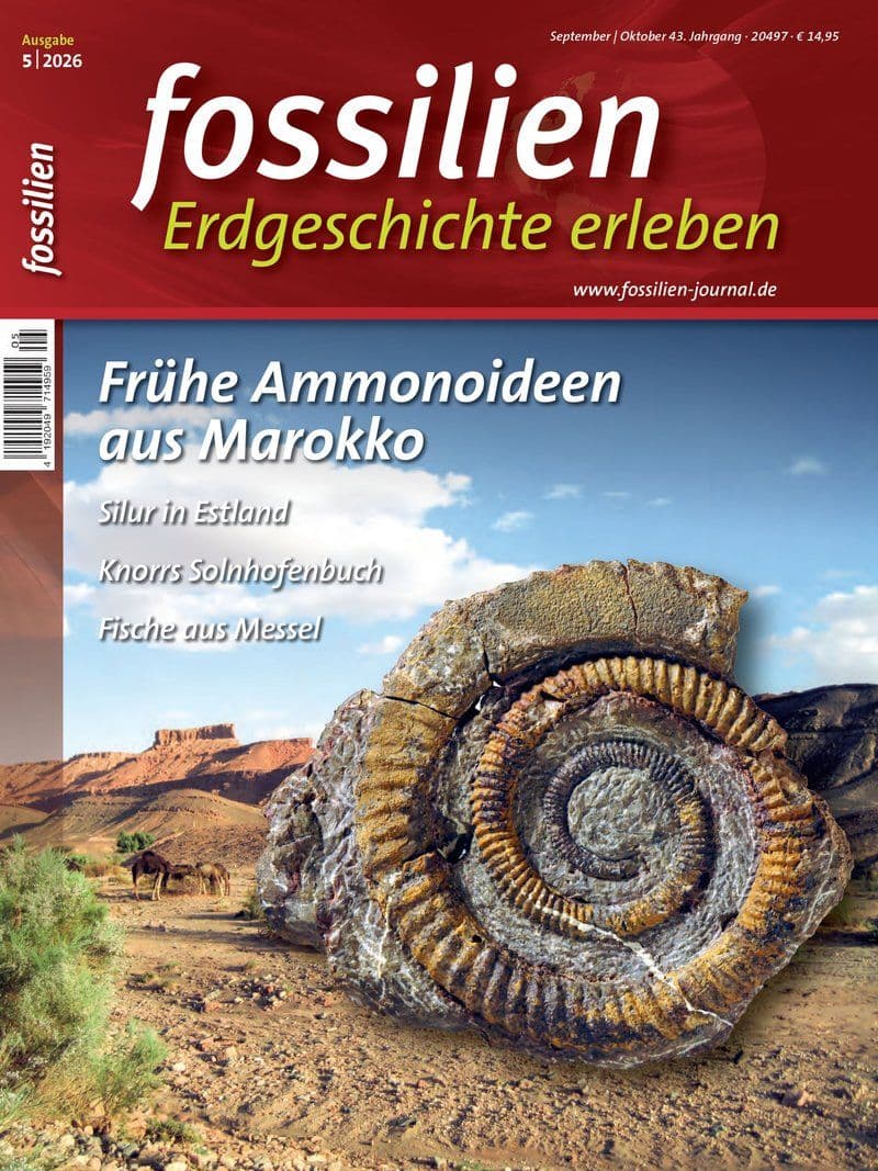 FOSSILIEN.-.Erdgeschichte.erleben.No.05.2026.GERMAN.HYBRID.MAGAZINE.eBook-LORENZ
