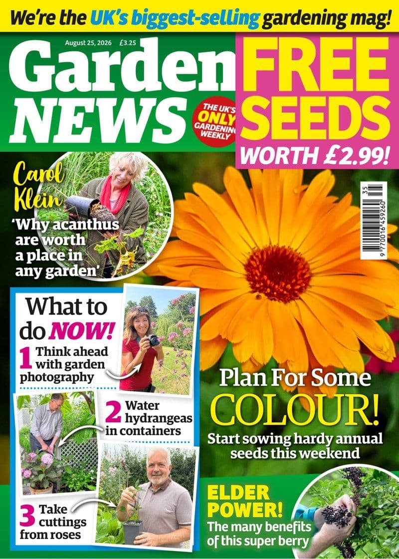 Garden.News.August.25.2026.RETAIL.MAGAZINE.eBook-21A1