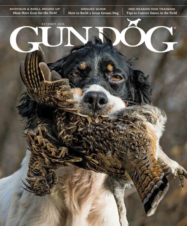 Gun_Dog_-_October_2026