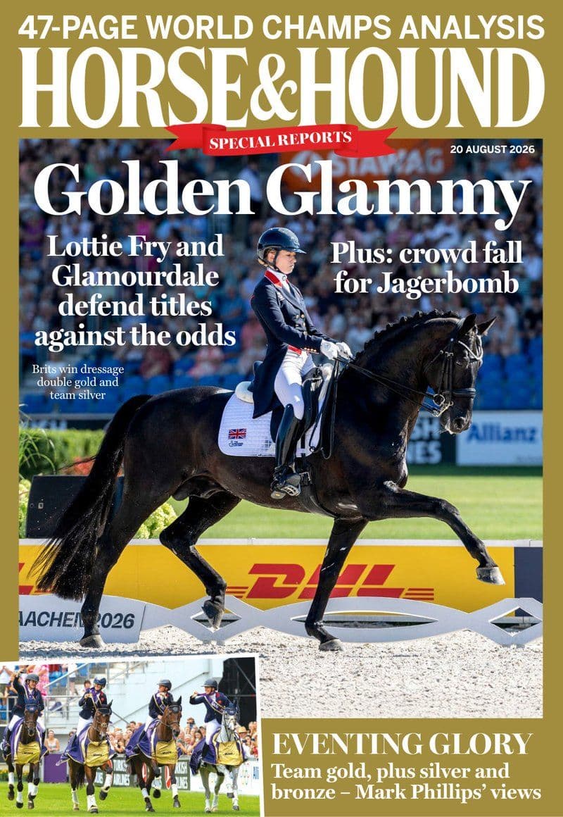 Horse.And.Hound.August.20.2026.RETAIL.MAGAZINE.eBook-21A1