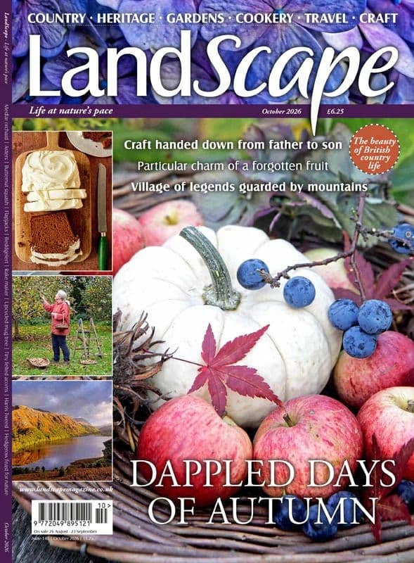 Landscape_UK_-_October_2026