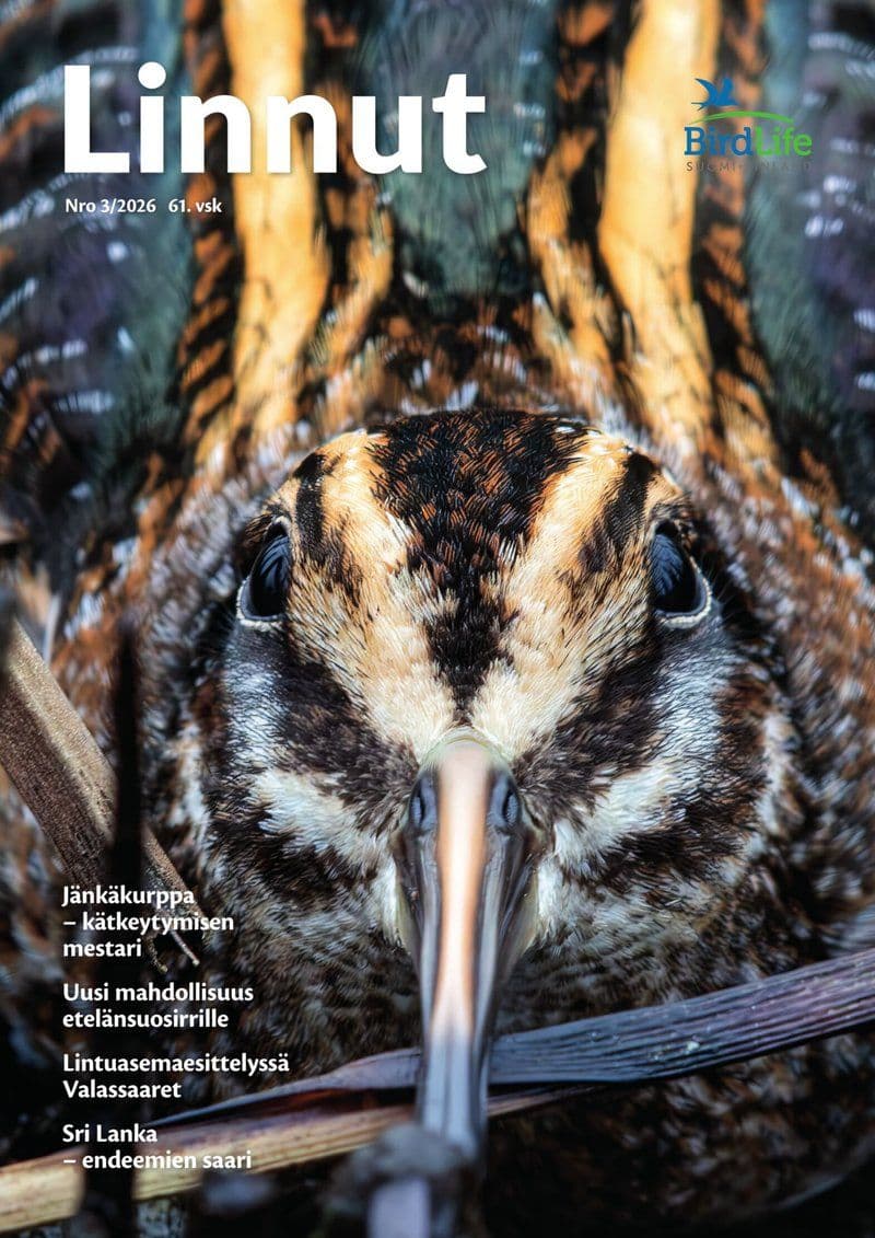 Linnut.No.03.2026.FiNNiSH.HYBRiD.MAGAZiNE.eBook-LiBRiCiDE