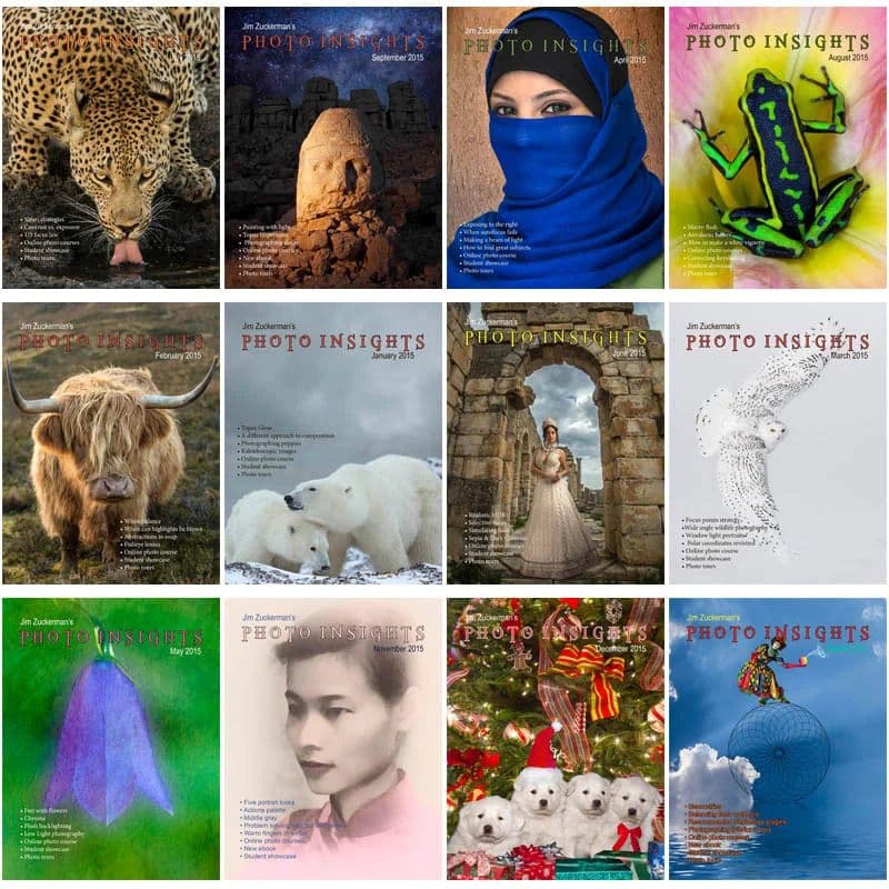 Photo Insights - 2015 Full Year