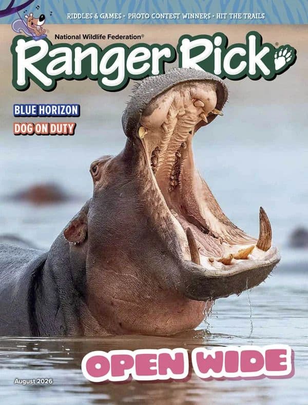 Ranger Rick - August 2026