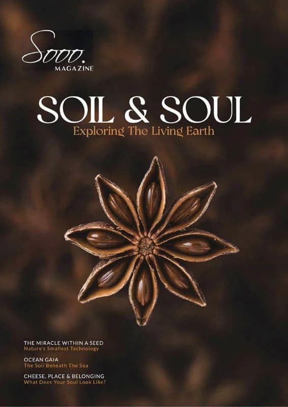 Sooo.Magazine_-_Fall_2026
