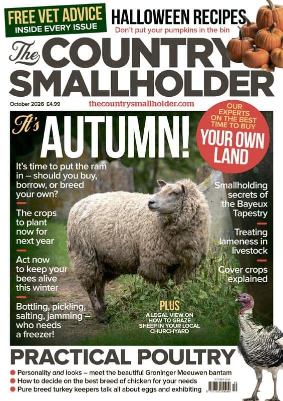 The_Country_Smallholder_-_October_2026