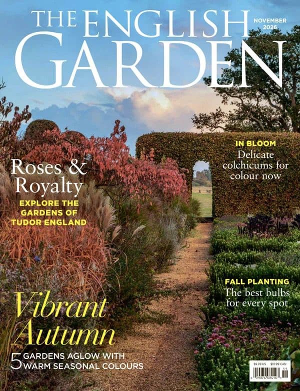 The_English_Garden_USA_-_November_2026