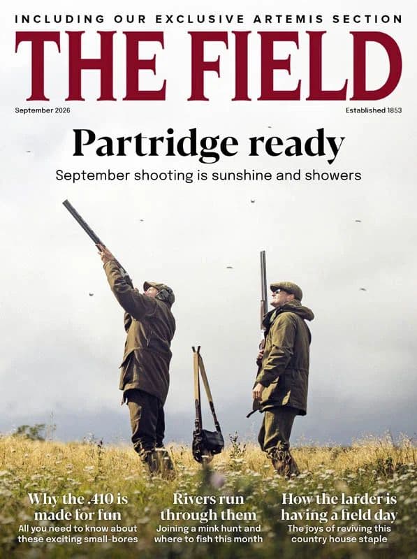 The Field - September 2026