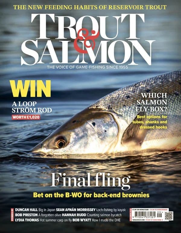 Trout_Salmon_-_September_2026