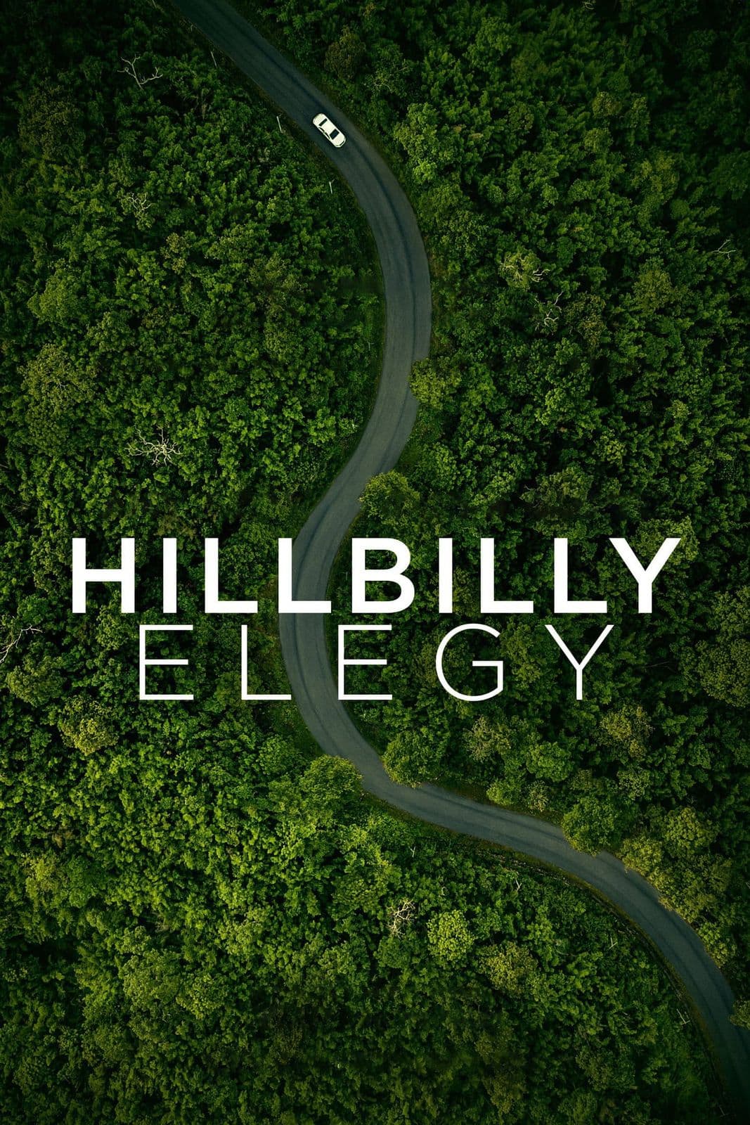 Hillbilly Elegy 2020 REPACK NF UHD BLURAY 1080p BluRay 5 1-LAMA
