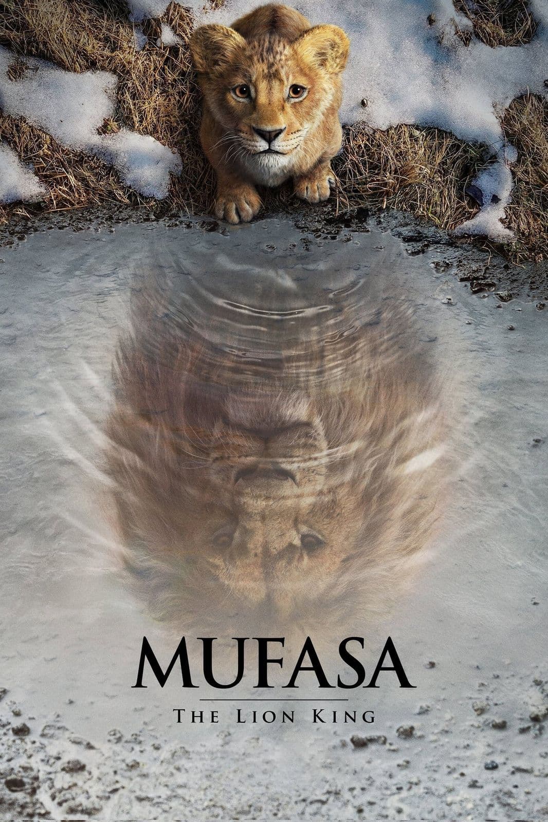 Mufasa The Lion King 2024 1080p WEB DL x264 DuaL-TURKO