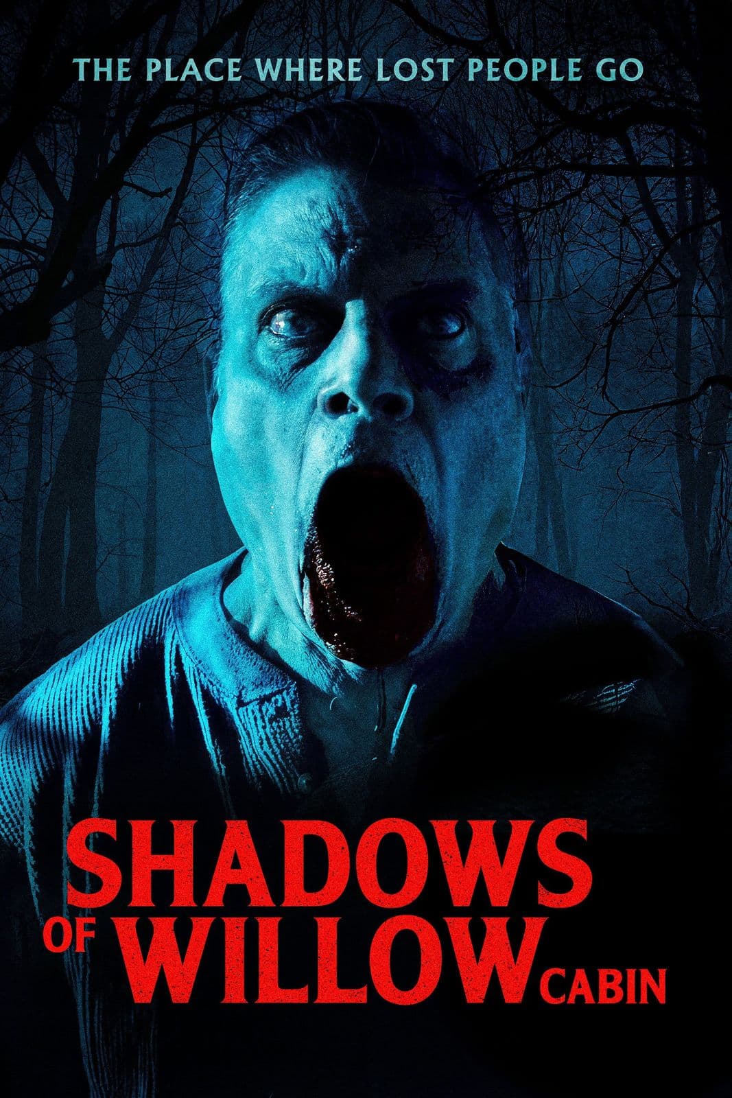 Shadows Of Willow Cabin 2025 720p WEBRip-YTSGGYTSBZ