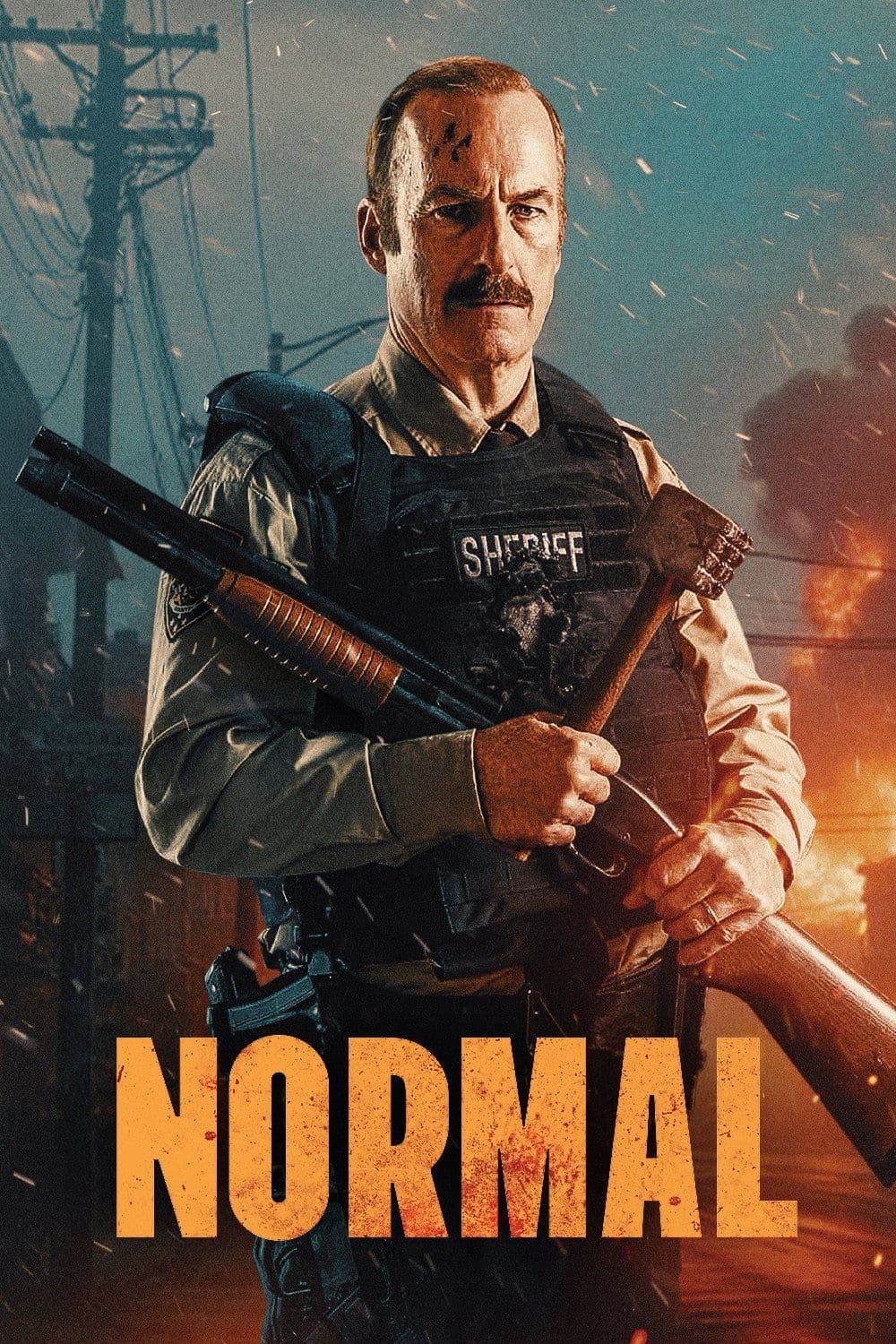 Normal 2025 BDRip x264-ROEN