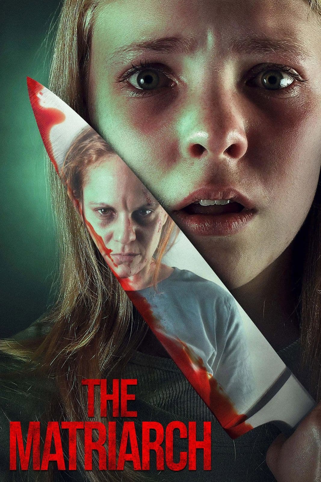 The Matriarch 2024 NORDiC 1080p WEB DL H 264 DDP2 0-ADDICTION