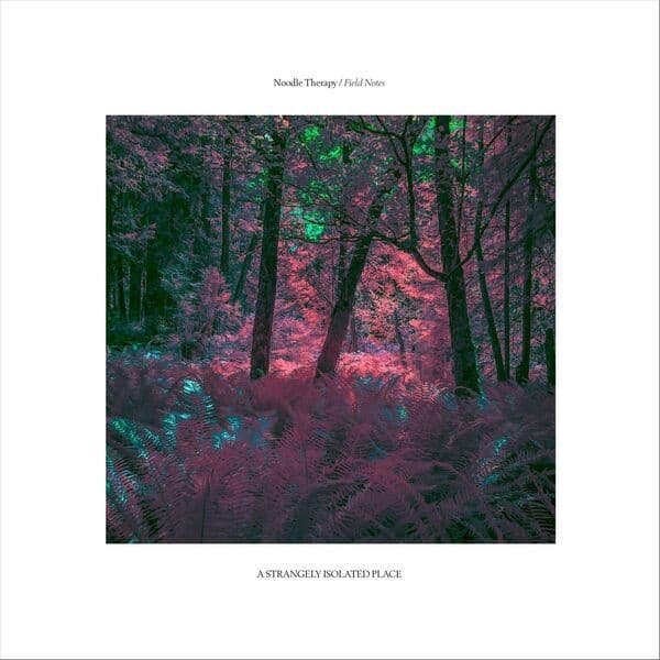 Noodle_Therapy-Field_Notes-_ASIP046_-16BIT-WEB-FLAC-2026-BABAS