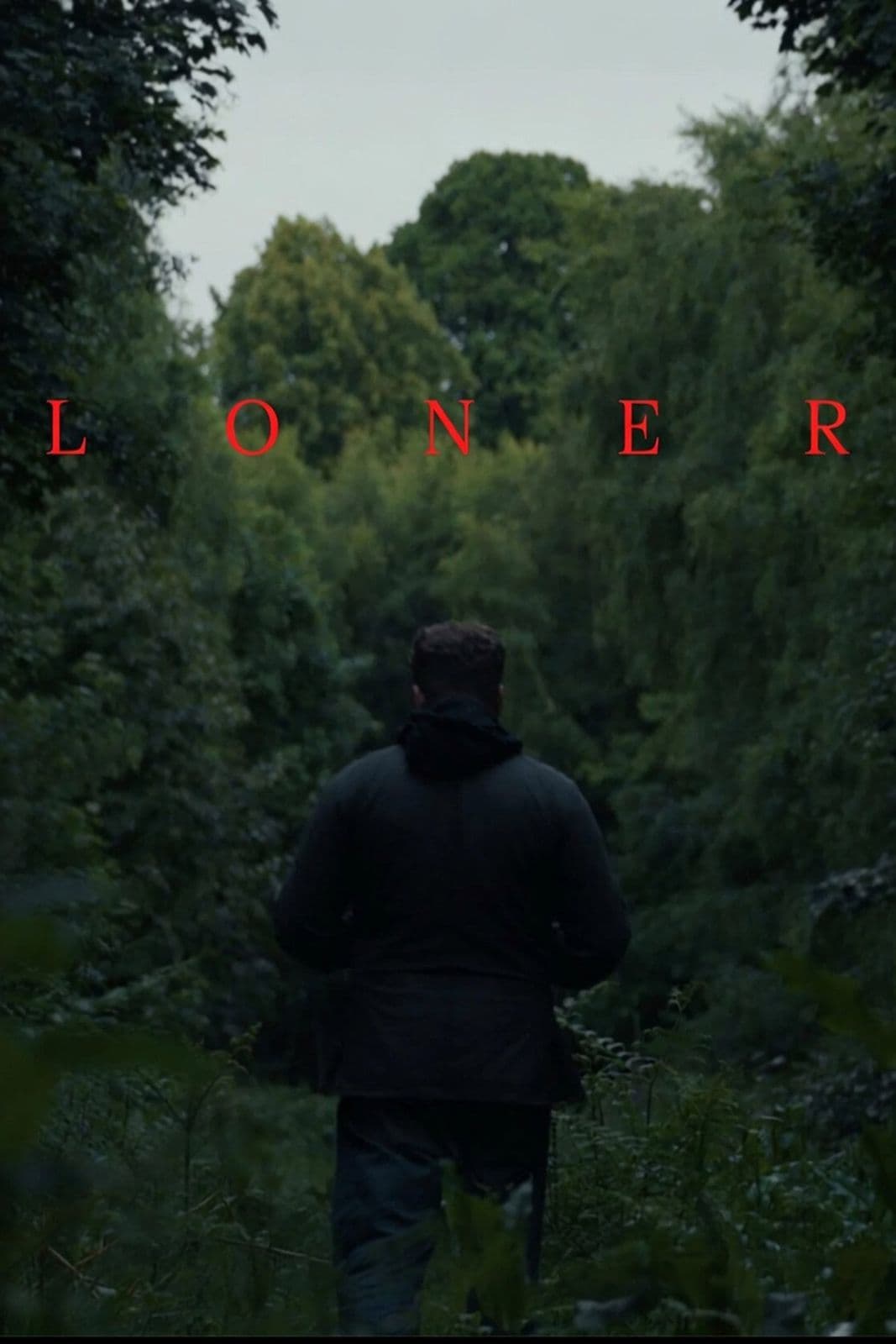 Loner 2025 1080p WEBRip-LAMA