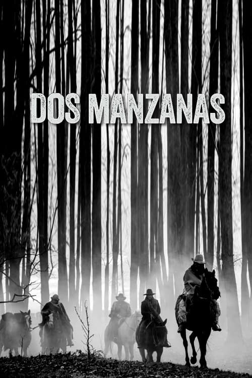 Dos Manzanas 2023 1080p WEBRip 5 1-YTSGGYTSBZ